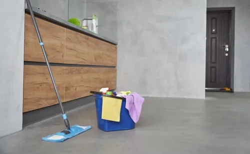 Claudia Cleaning Services services